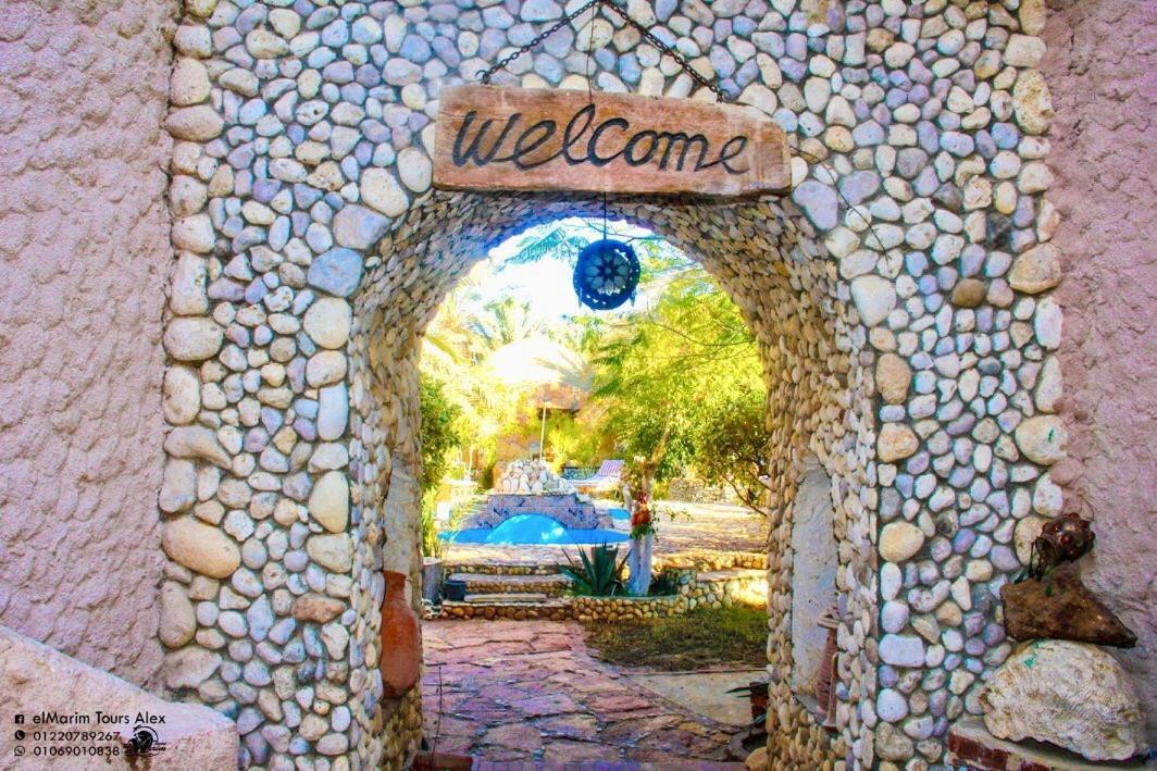 Dream Lodge Siwa Siwa Oasis Екстер'єр фото