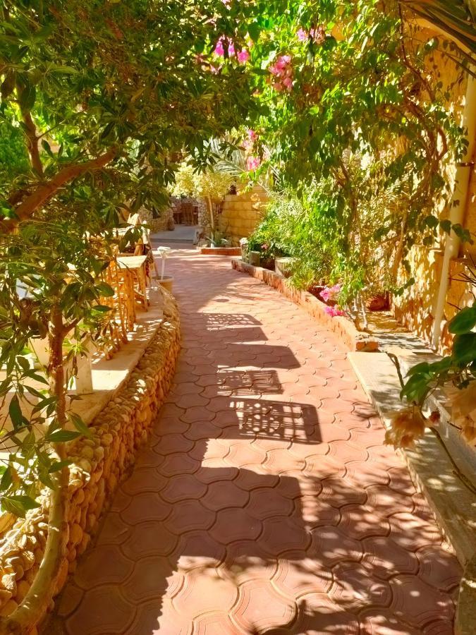 Dream Lodge Siwa Siwa Oasis Екстер'єр фото
