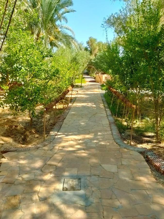 Dream Lodge Siwa Siwa Oasis Екстер'єр фото