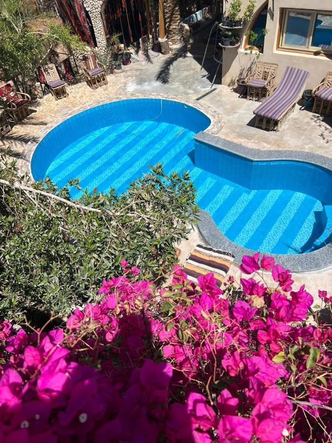 Dream Lodge Siwa Siwa Oasis Екстер'єр фото